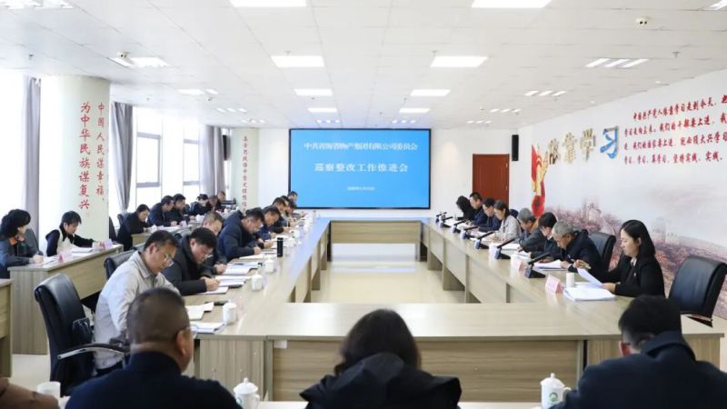 集團黨委召開巡察整改工作推進會